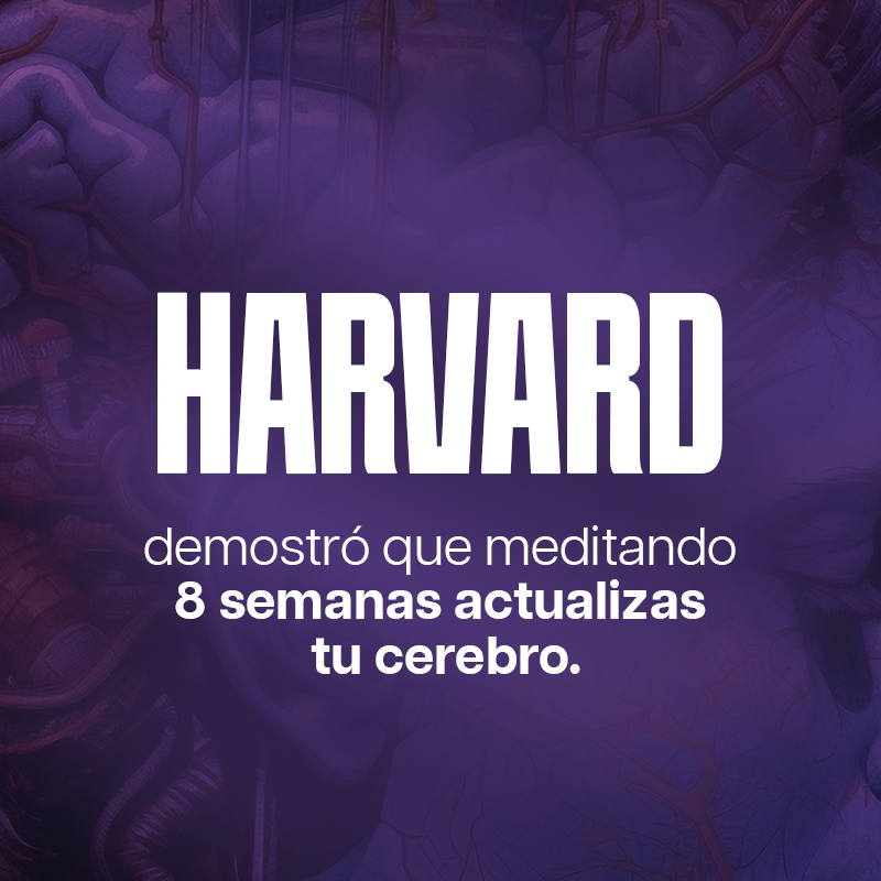 Respira Profundo Respira Profundo